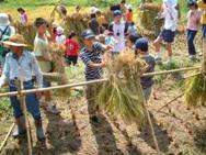 棚田オーナー制度の実施（鴨川市）