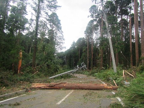 被害状況（インフラ）の画像