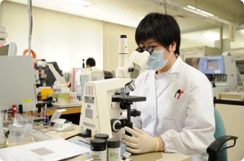 臨床検査