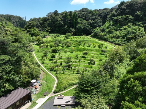 森の墓苑全景写真
