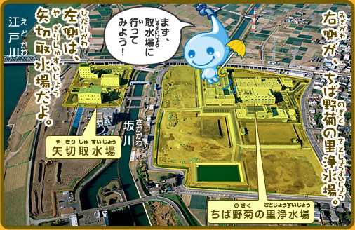 右側がちば野菊の里浄水場。左側は矢切取水場だよ。「まず、取水場に行ってみよう！」