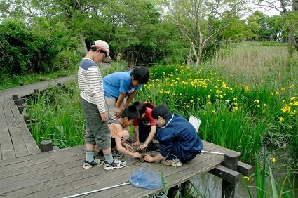 都川丹後堰公園付近