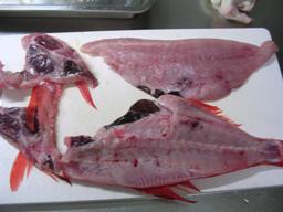 カマも半分に切る