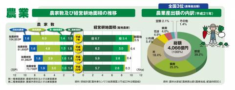 農家数及び経営耕地面積の推移