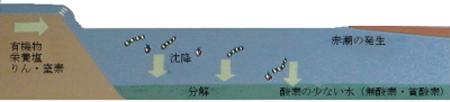 青潮の発生-その1-
